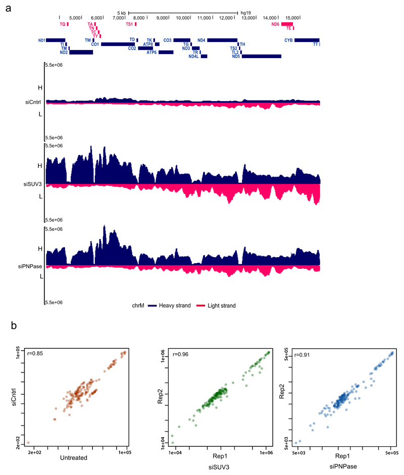 Extended Data Fig. 5