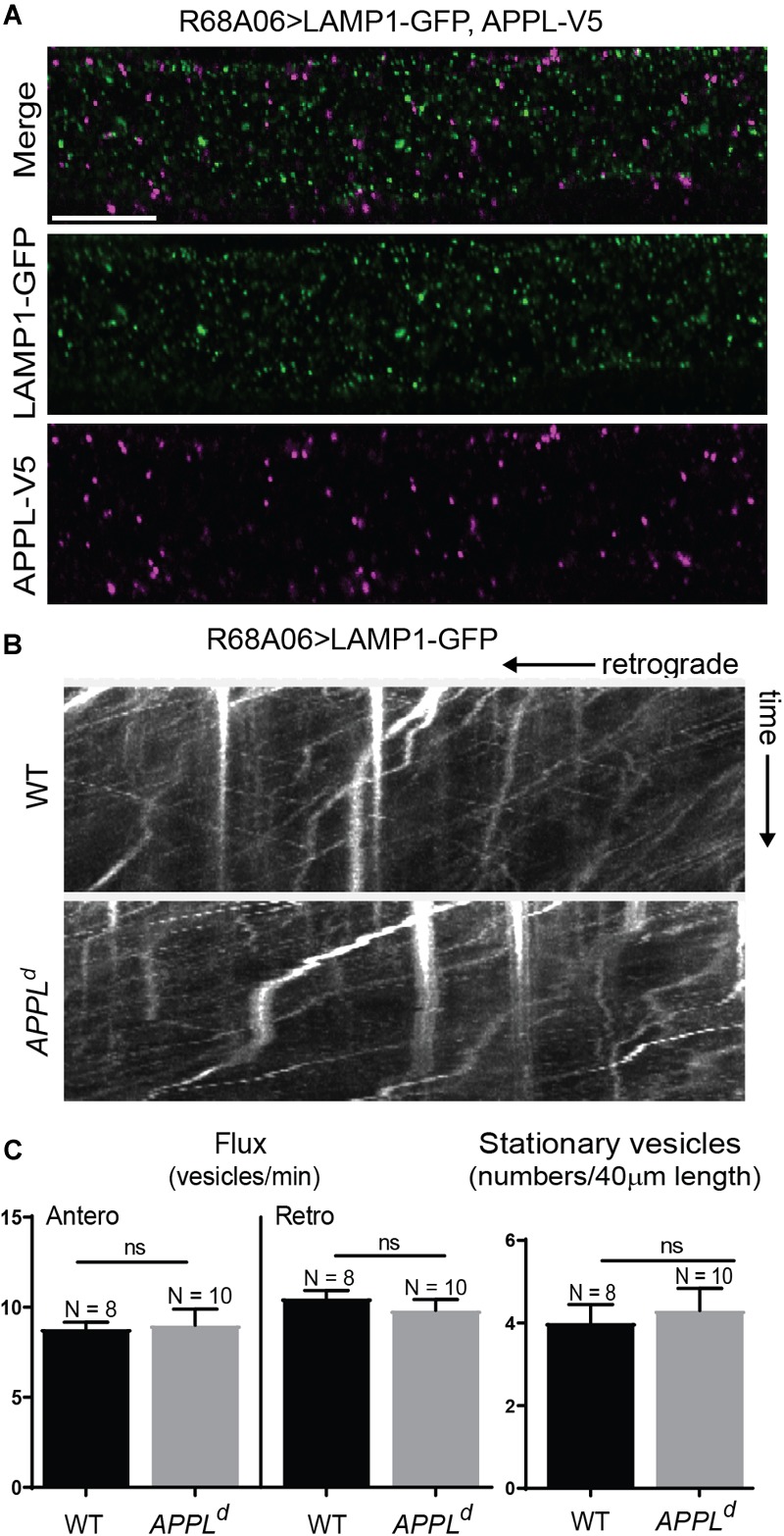 FIGURE 3