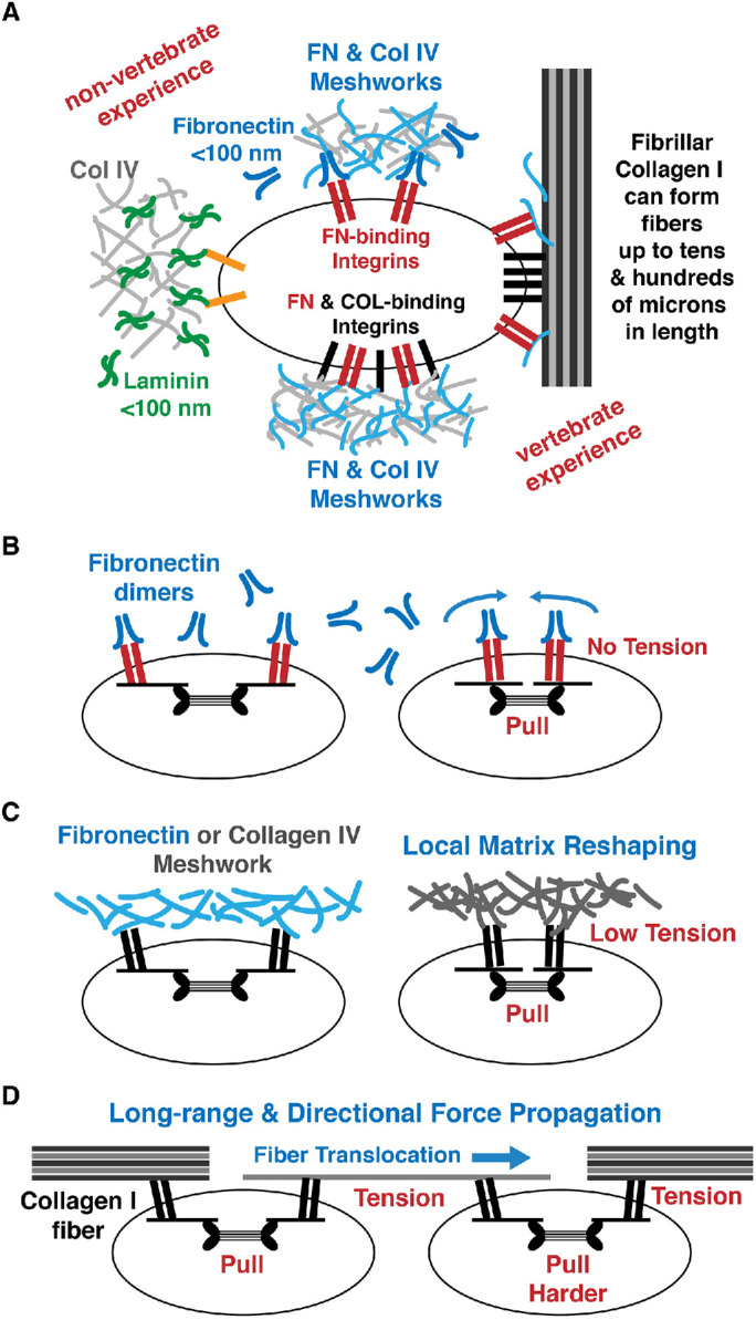 FIGURE 2: