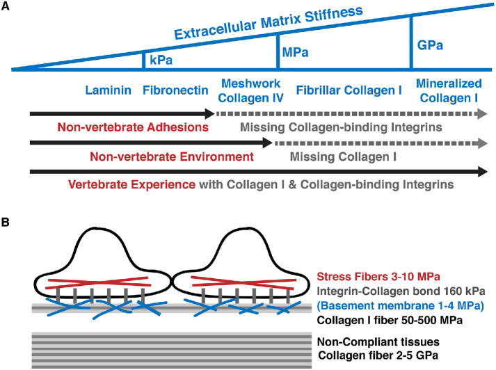 FIGURE 1: