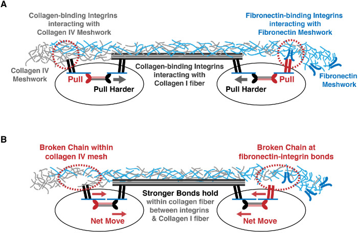 FIGURE 4: