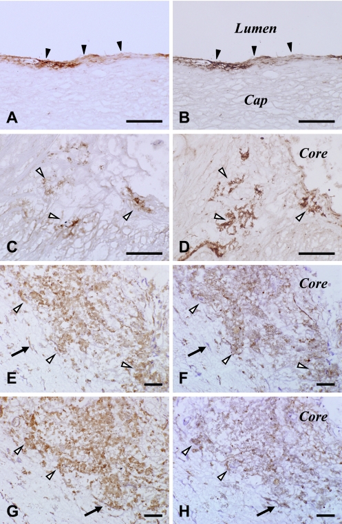 Fig. 4