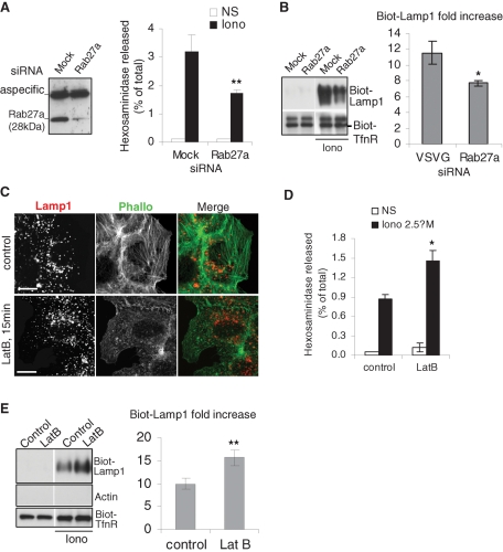 FIGURE 4: