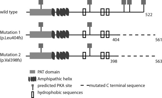 FIGURE 1.