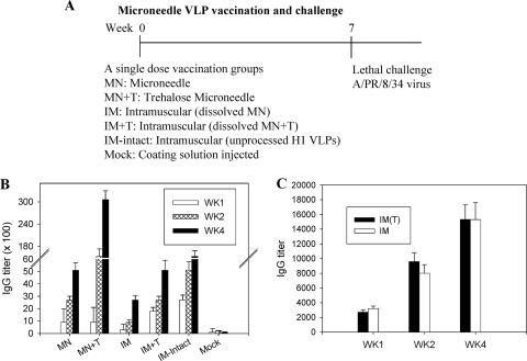 FIG. 2.