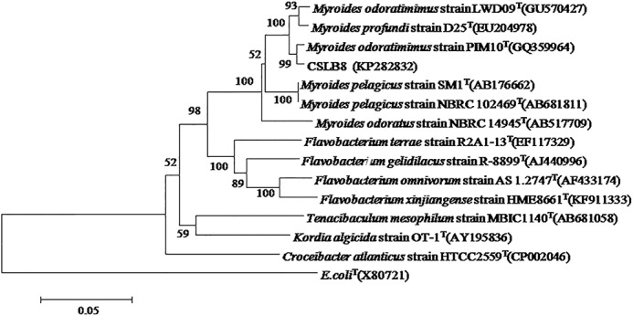 FIGURE 1.