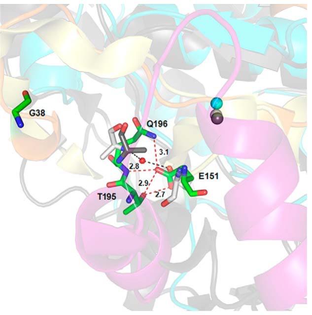 FIGURE 7.