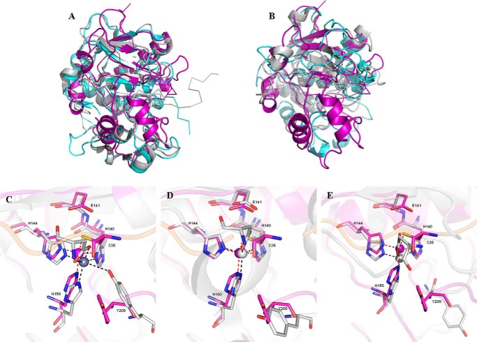 FIGURE 4.