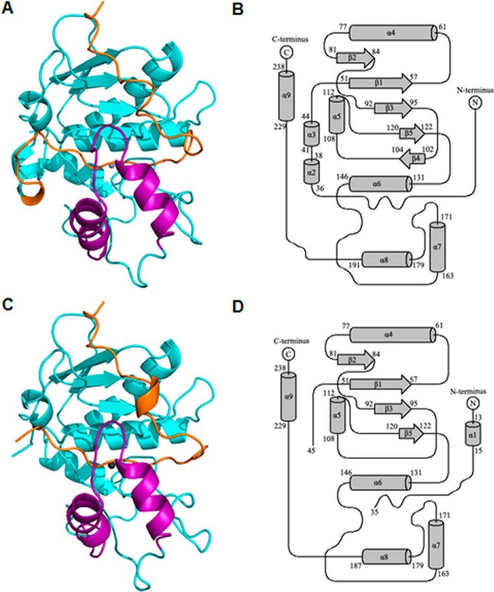 FIGURE 2.