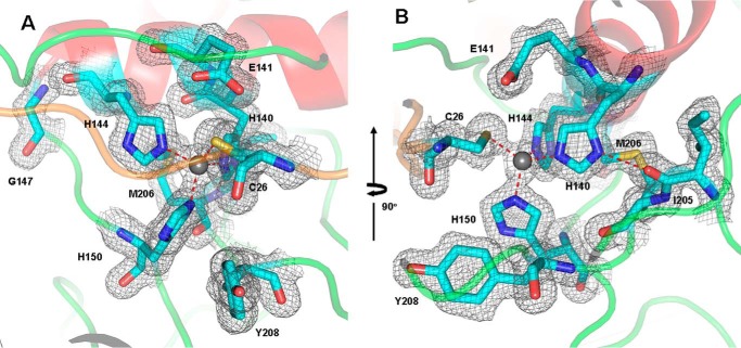 FIGURE 3.