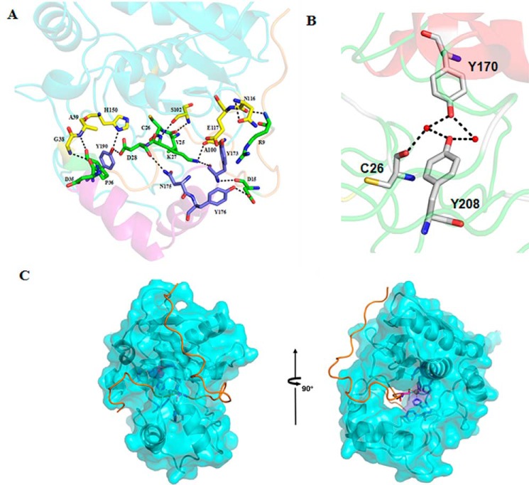 FIGURE 5.