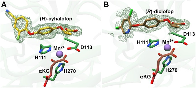 Fig. 4.