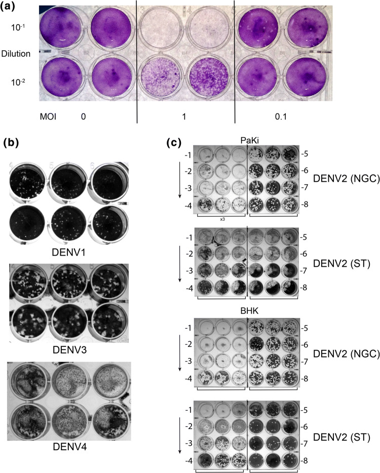 Fig. 2