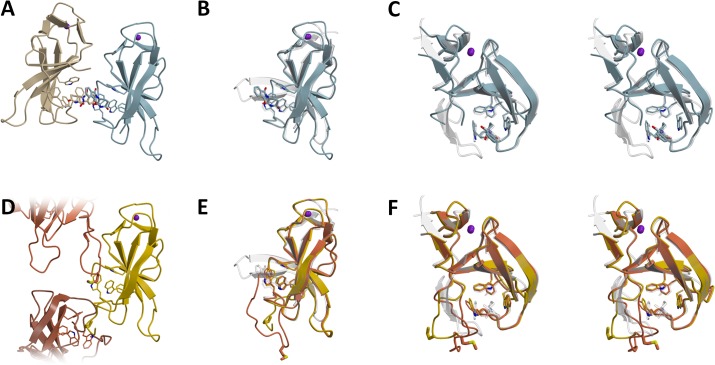 Fig 6