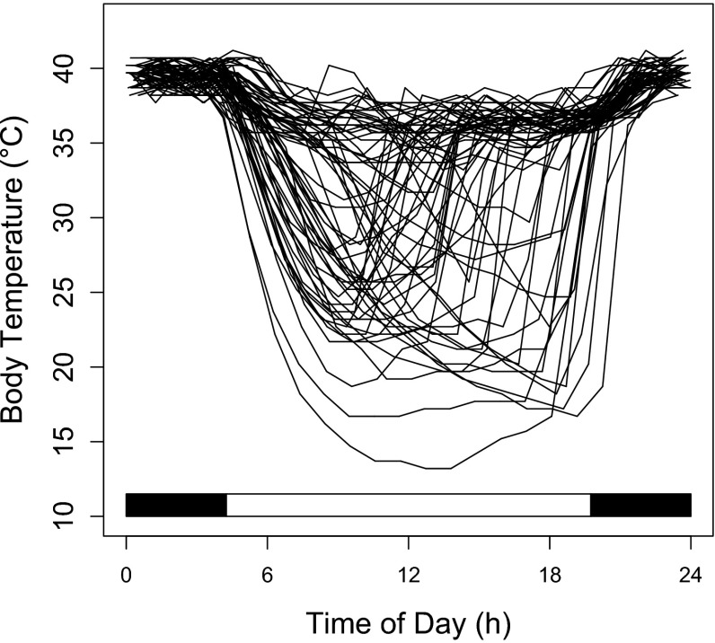 Fig. 4