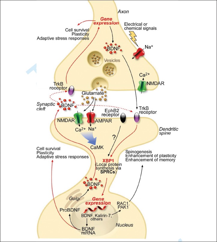 Figure 1.