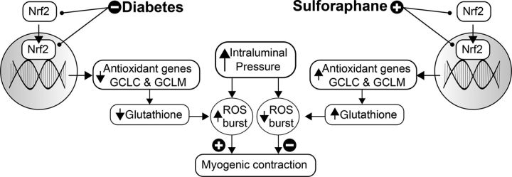 Figure 6