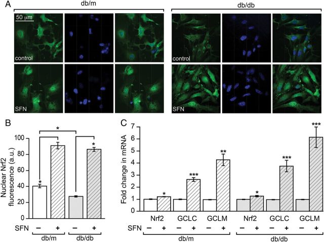 Figure 4