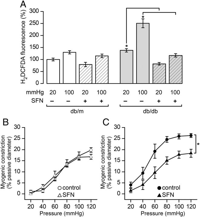 Figure 5