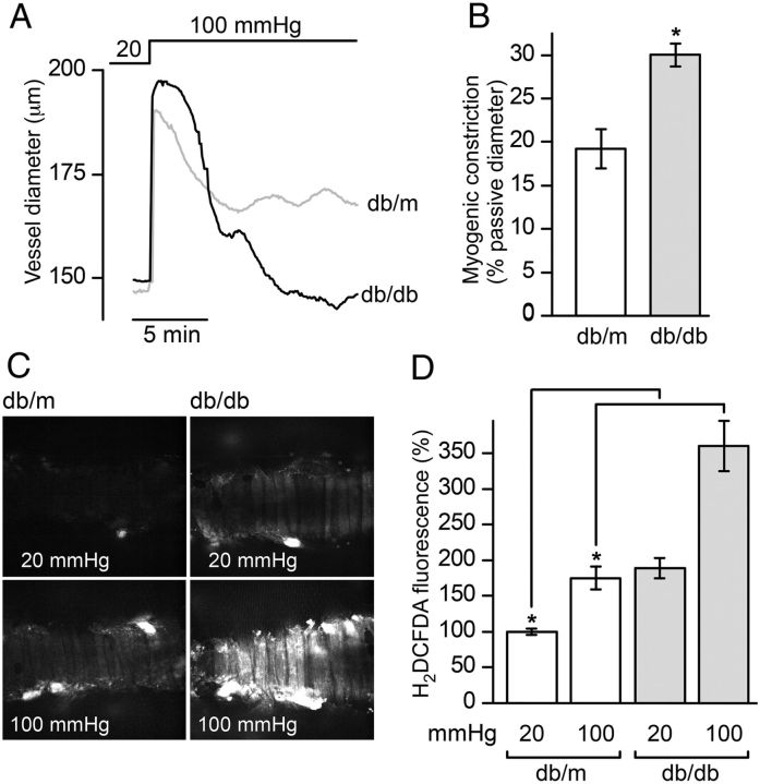 Figure 2