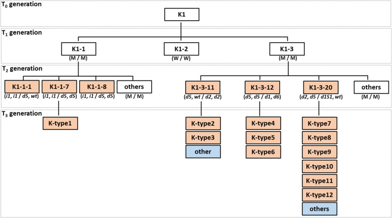 Fig. 7