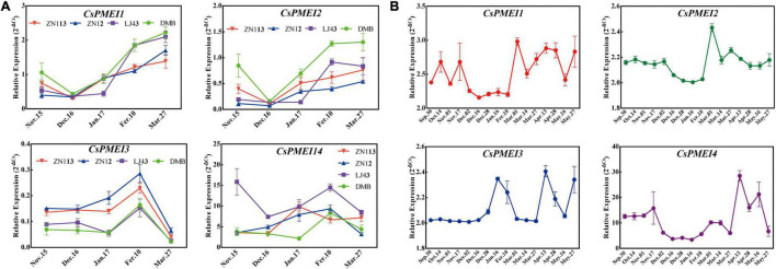 FIGURE 4