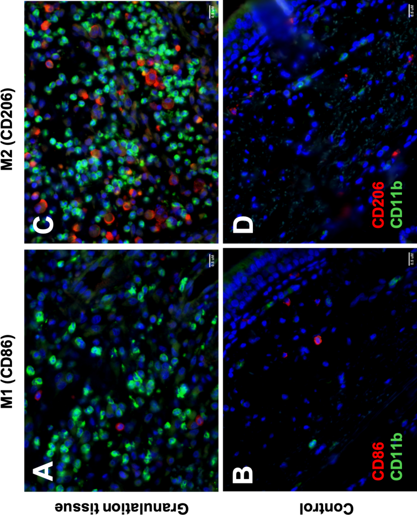 Figure 6: