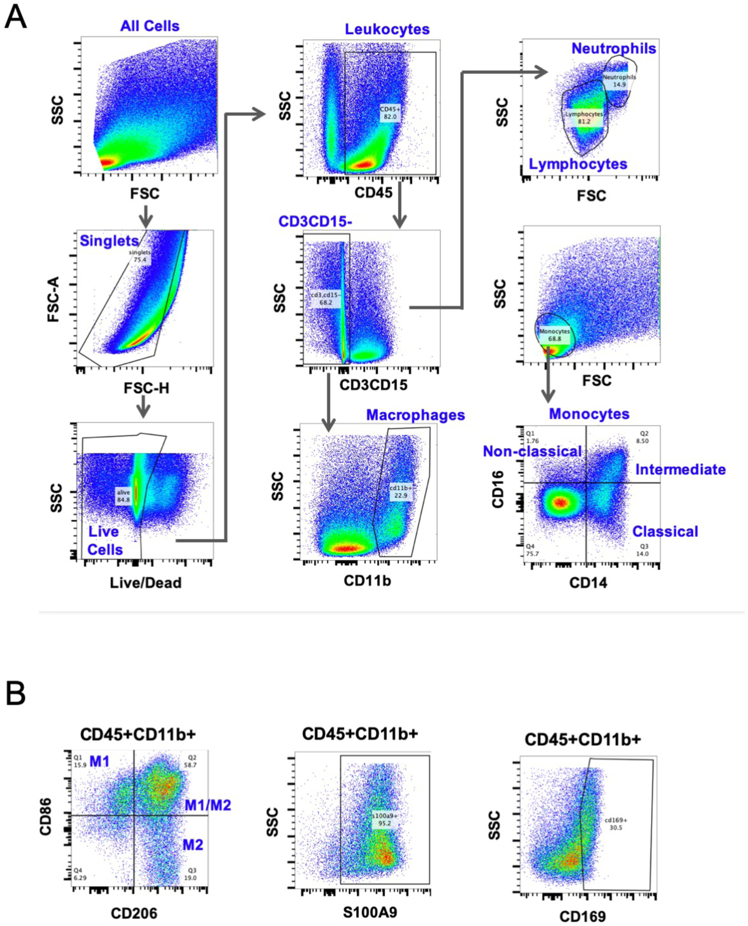 Figure 1: