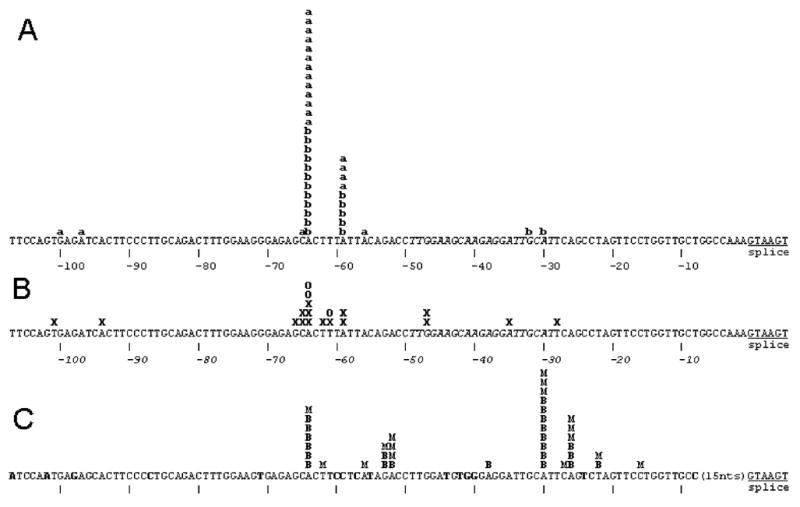 FIG 1