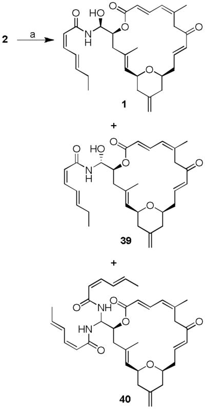 Scheme 7