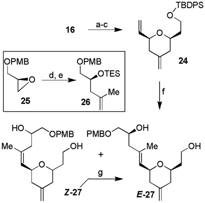 Scheme 3