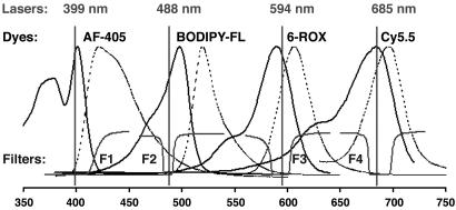 Fig. 2.