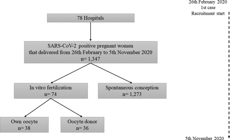 Supplemental Figure 1