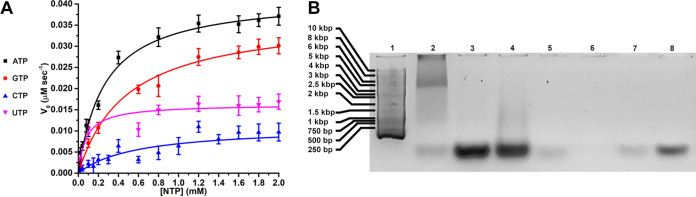 FIG 4