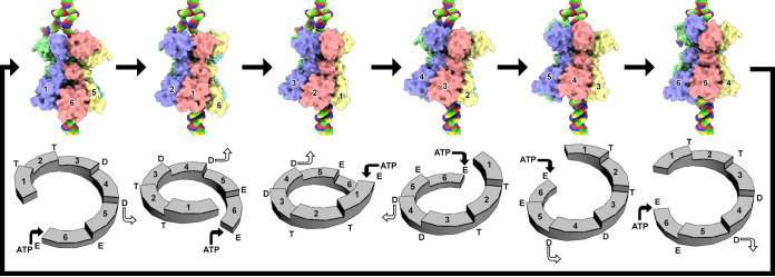 FIG 6