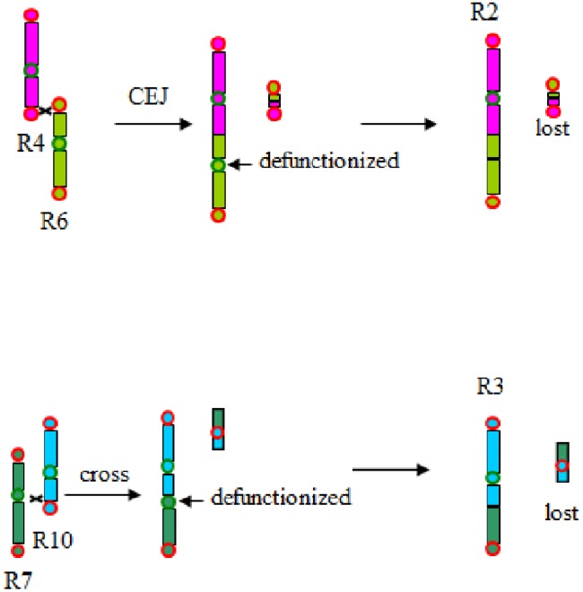 FIGURE 6