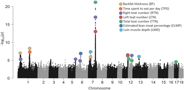 Figure 4: