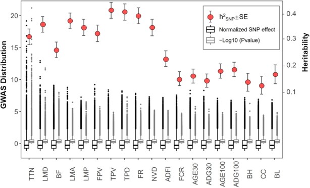 Figure 6: