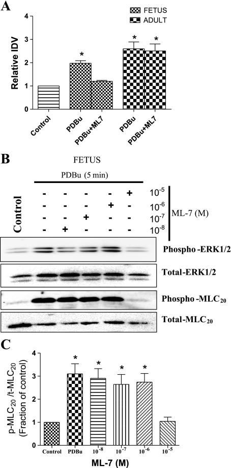 Fig. 6.