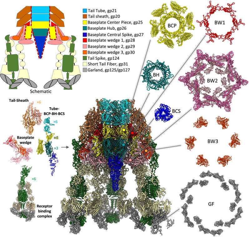 Fig. 3