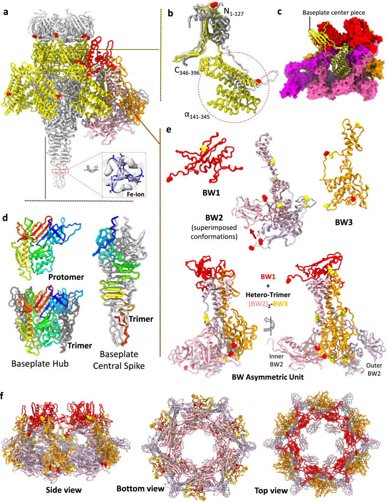 Fig. 4