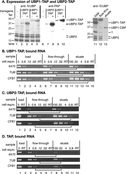 FIG. 7.