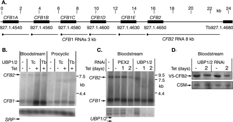 FIG. 5.