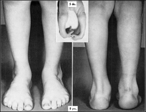 Fig. 6
