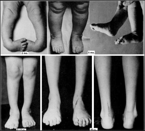 Fig. 7