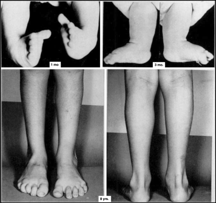 Fig. 5
