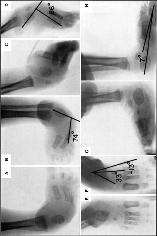 Fig. 3A–L