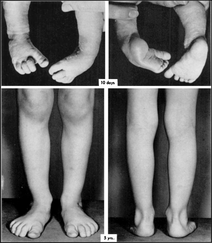 Fig. 4