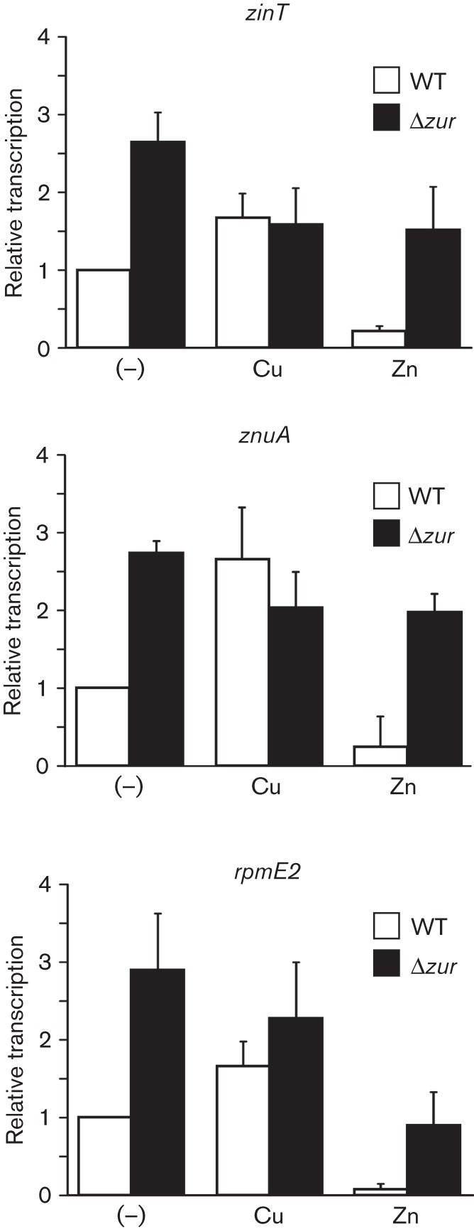 Fig. 3. 