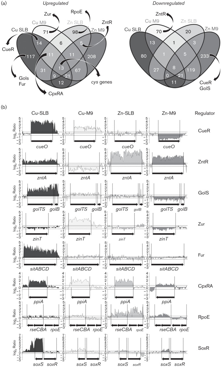 Fig. 1. 